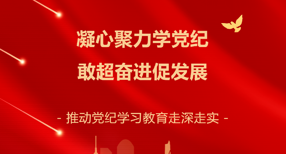 開展“凝心聚力學黨紀 敢超奮進促發(fā)展”黨紀學習教育警示研學活動